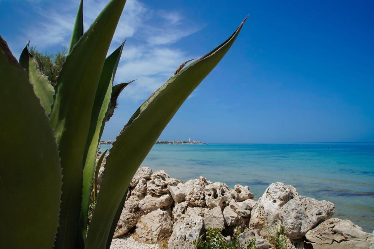 Aurelia Sea View Bed and Breakfast Torre Canne Exteriör bild