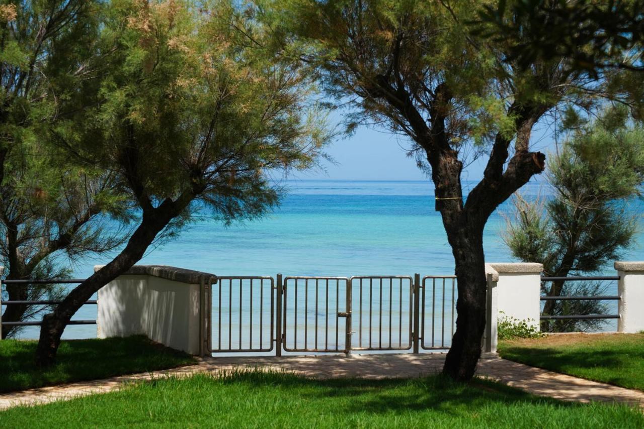 Aurelia Sea View Bed and Breakfast Torre Canne Exteriör bild