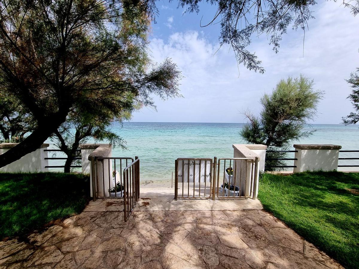 Aurelia Sea View Bed and Breakfast Torre Canne Exteriör bild